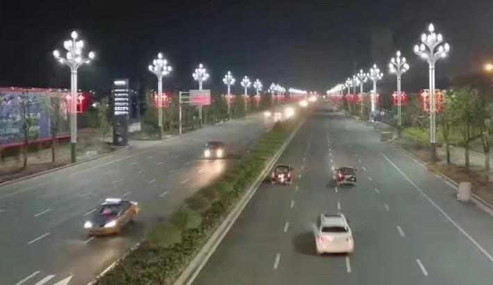 东莞麻豆视频下载照明玉兰灯道路照明效果实景图